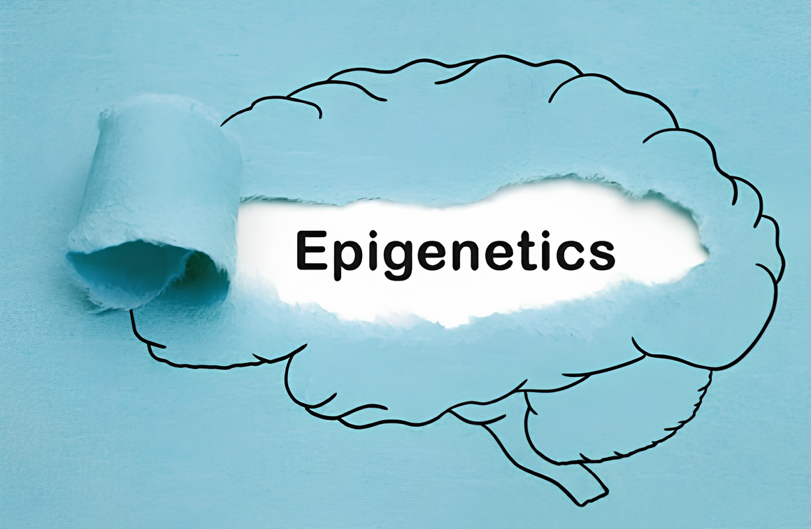 ChIP Sequencing – Unveiling the Epigenome.